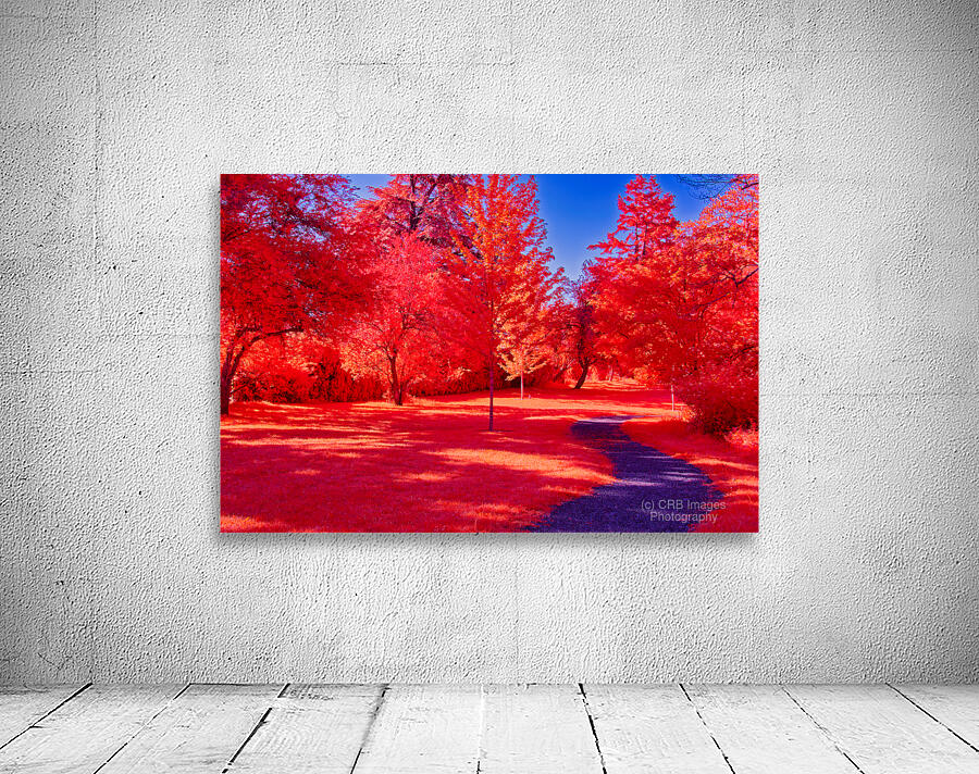 Beaufort Park Path Wall Preview