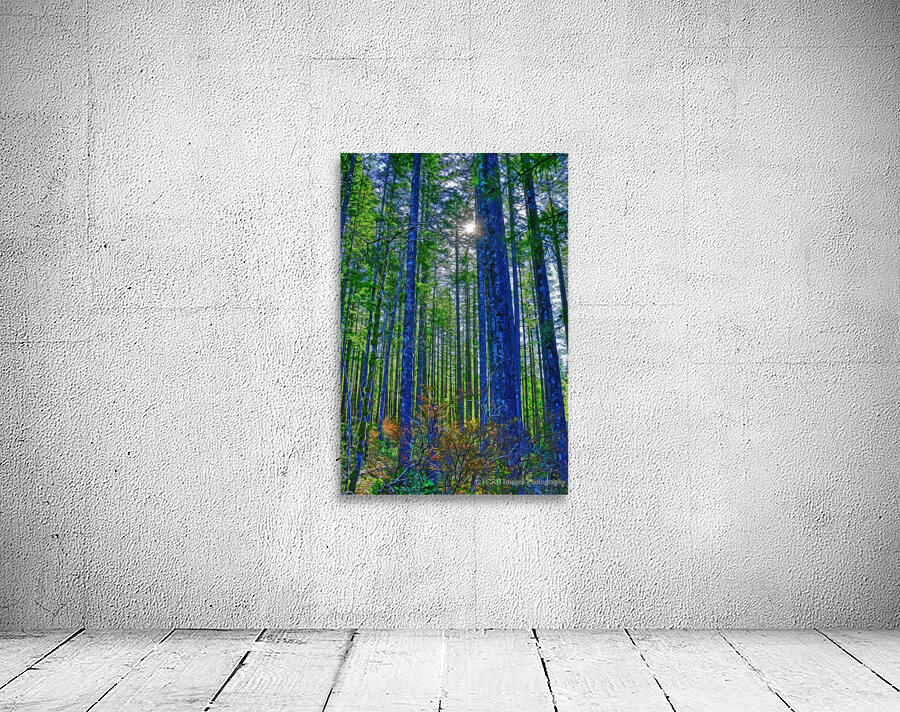 Oyster River Park Wall Preview