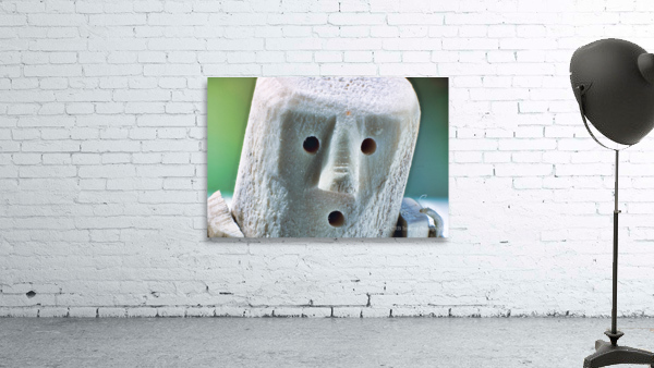 Surprise Wall Preview