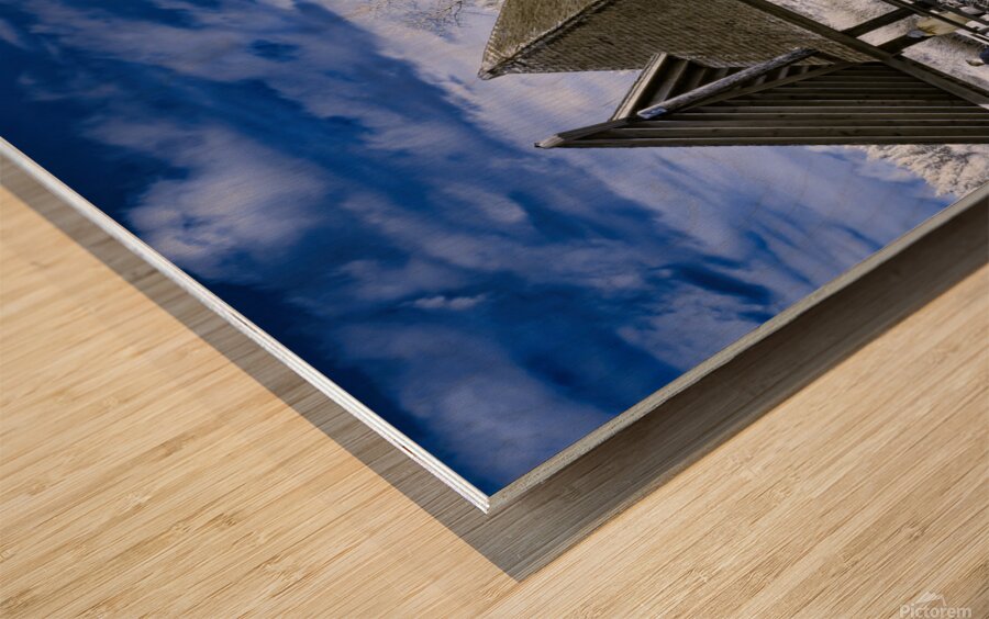 The Gazebo 2 Wood print