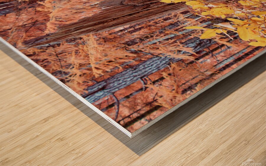 Cycle Of Growth and Decay Wood print