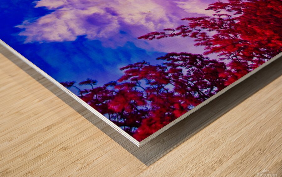 Magnificent Clouds Wood print