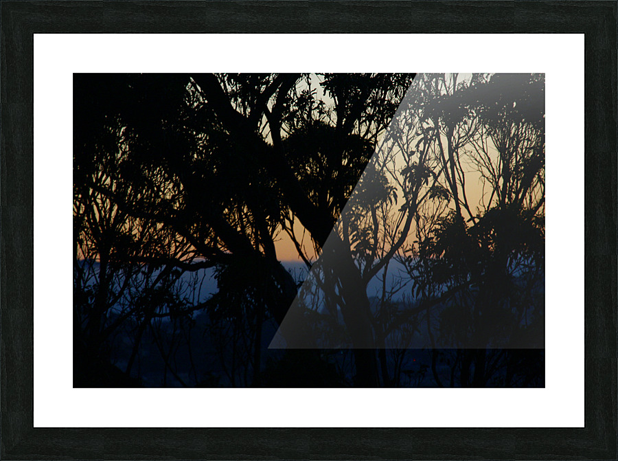 Our Colors 8 IMG 1607 Picture Frame print