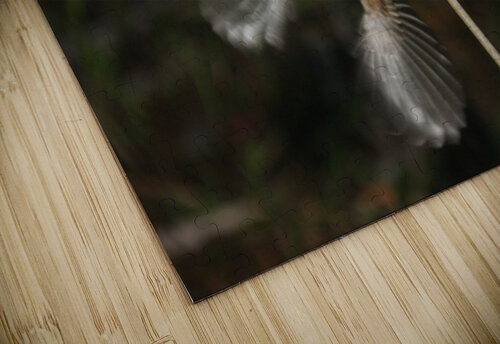 Chestnut-Backed Chickadee Taking Flight Equinox Monograms puzzle