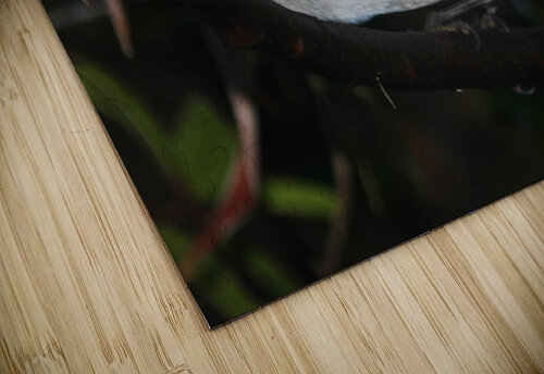 Scrub Jay Drinking Raindrop Equinox Monograms puzzle