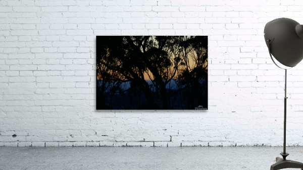 Our Colors 8 IMG 1607 Wall Preview