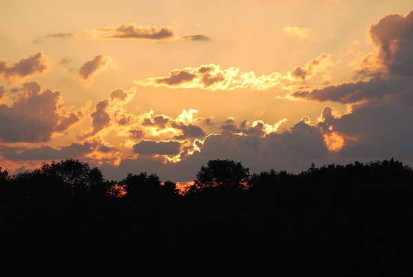 Chicagoland Speedway II Digital Download