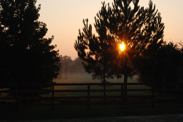 Sunset Silhouette  Digital Download