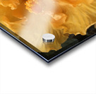 Golden Yellow Hibiscus Acrylic print