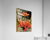 Salmon Roses  Acrylic Print