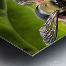 Bumble Bee Metal print