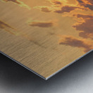 Chicagoland Speedway II Metal print