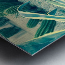 Cactus Party Metal print