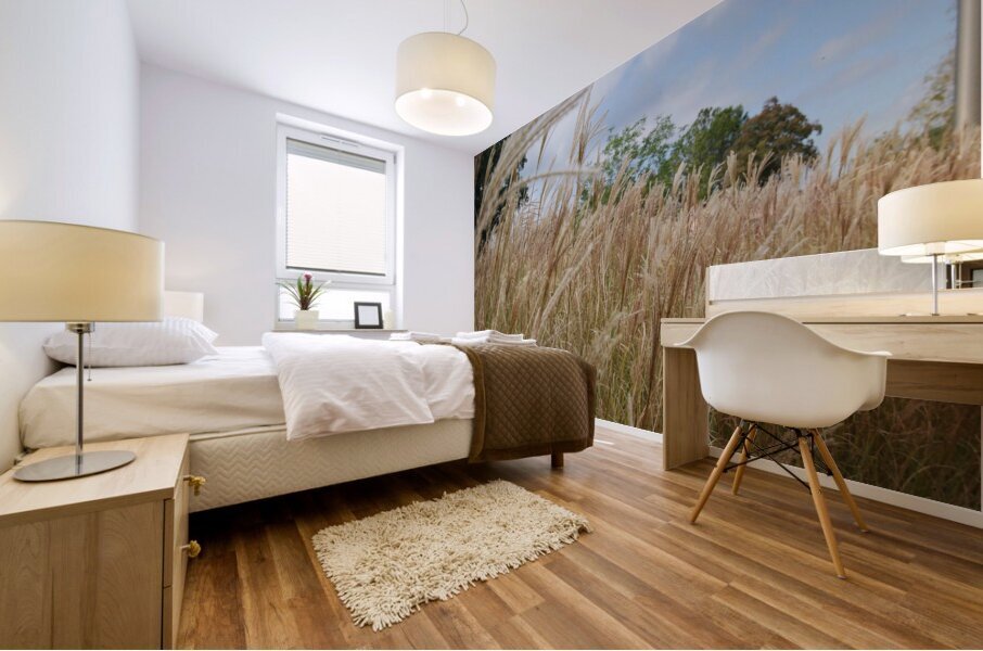 Silver Grass Mural print