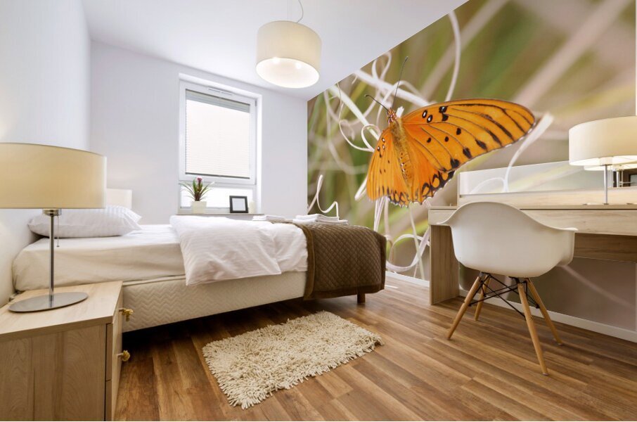 Gulf Fritillary  Mural print
