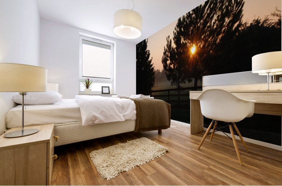 Sunset Silhouette  Mural print