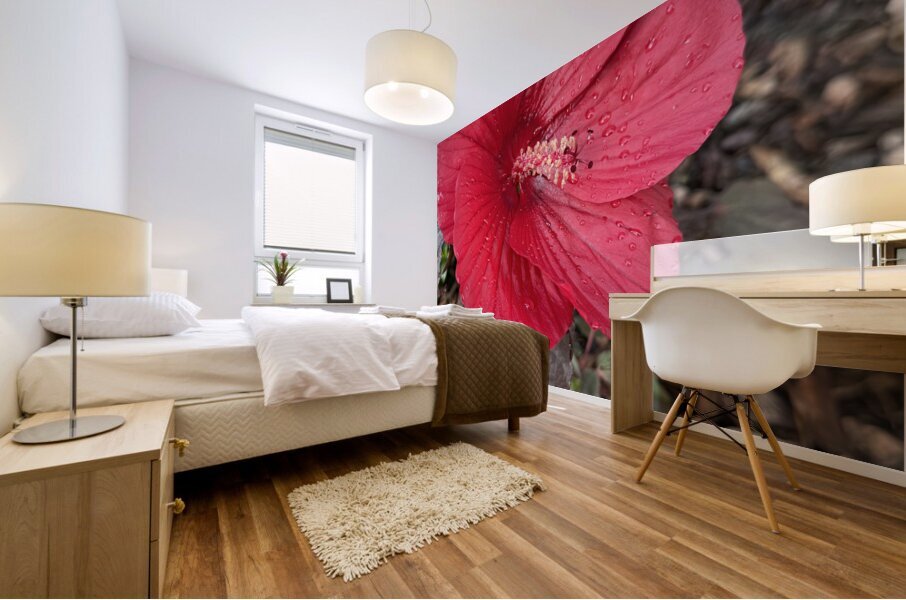 Red Hibiscus Mural print