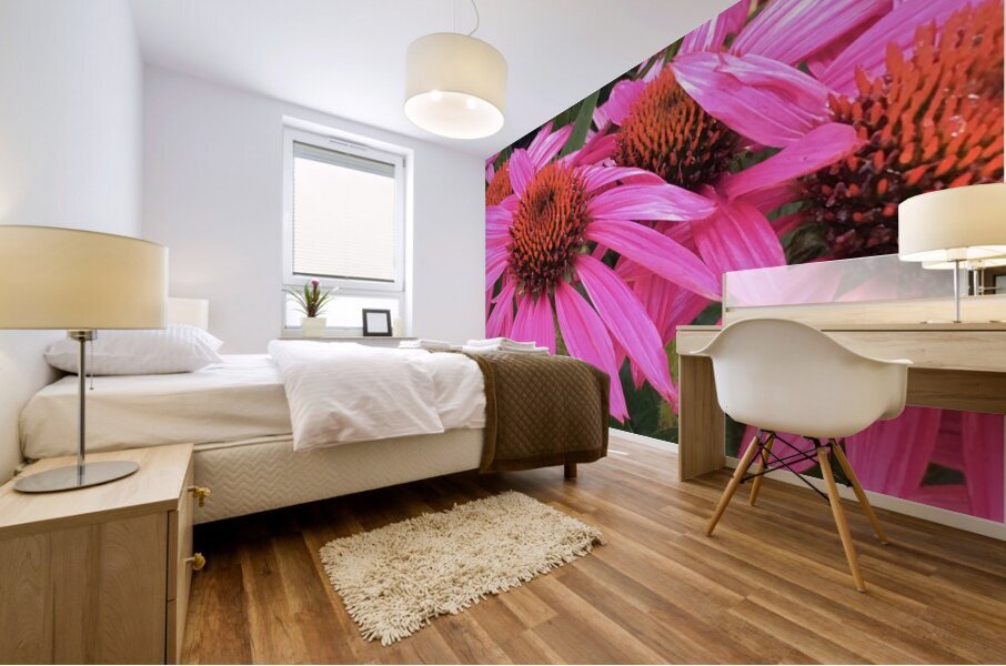 Echinacea Coneflower Mural print