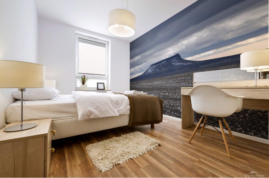 Pilot Butte I Mural print