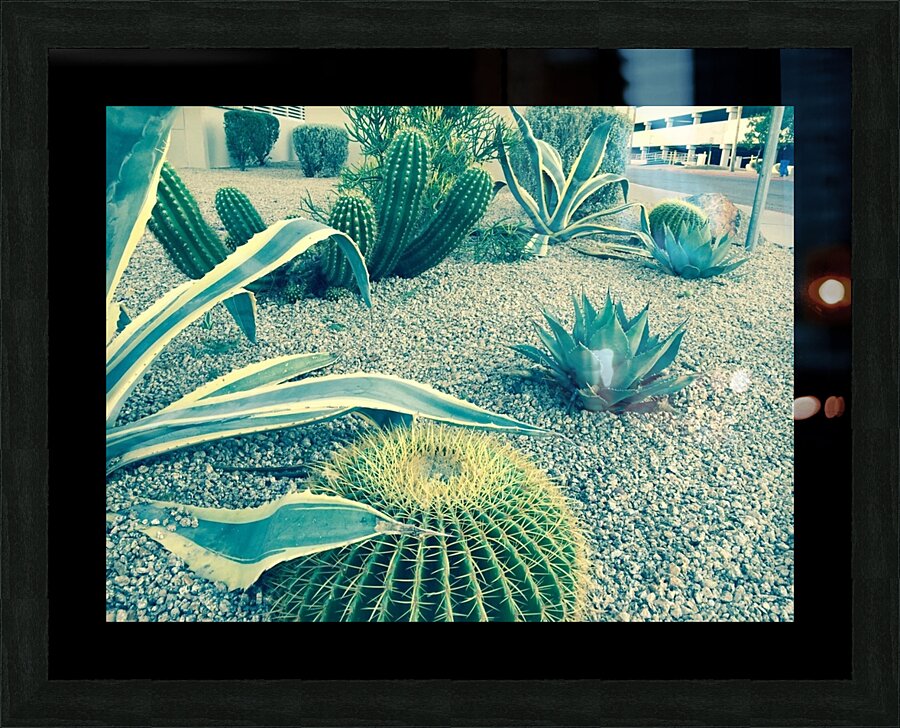 Cactus Party Picture Frame Printing