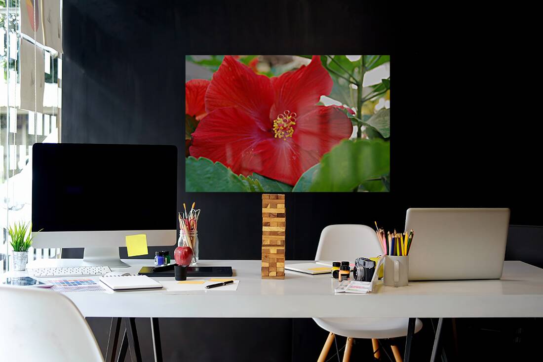 Red Hibiscus Reproduction