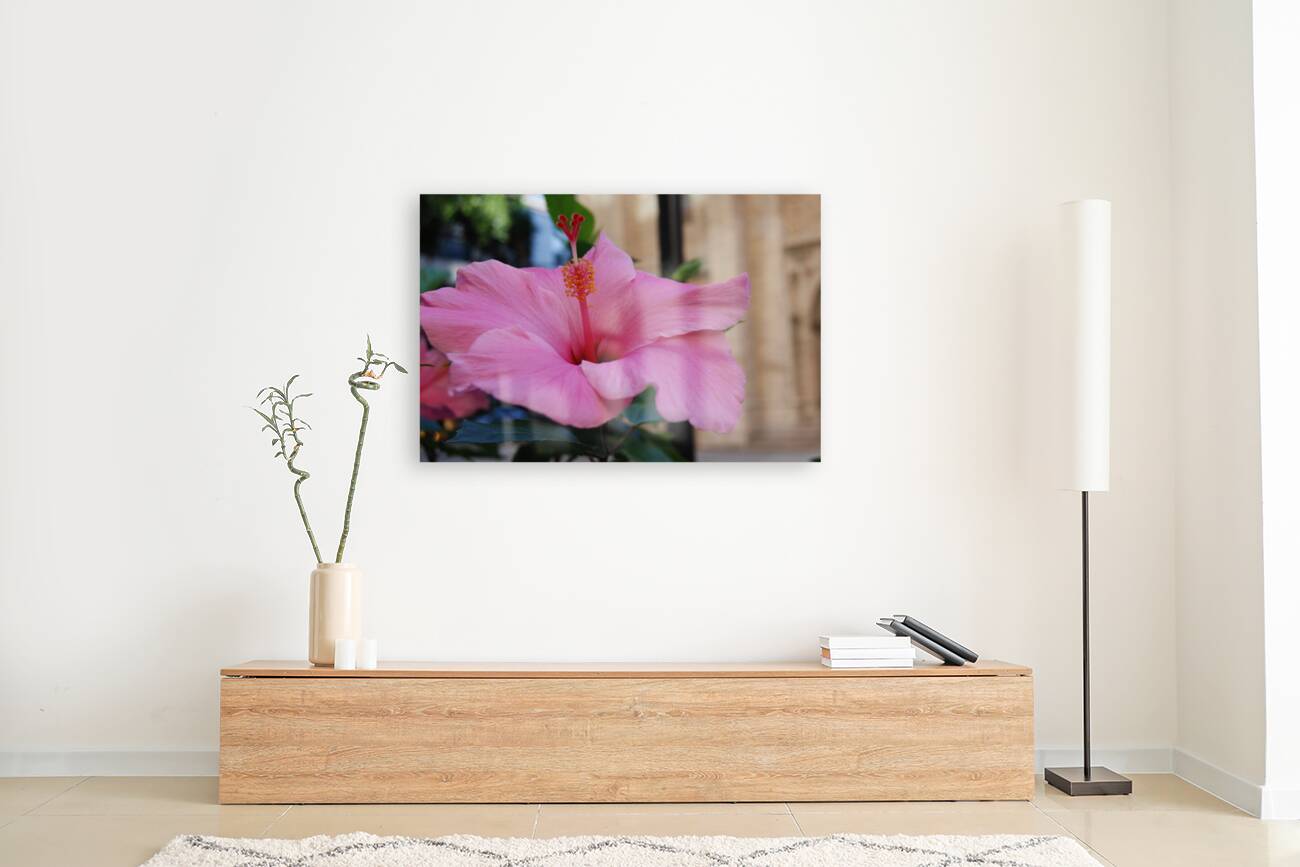Lavender Hibiscus Reproduction