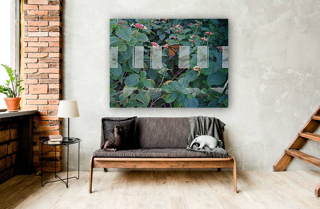 Monarch Butterfly II Reproduction