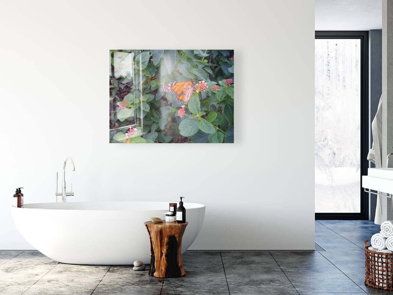 Monarch Butterfly IV Reproduction