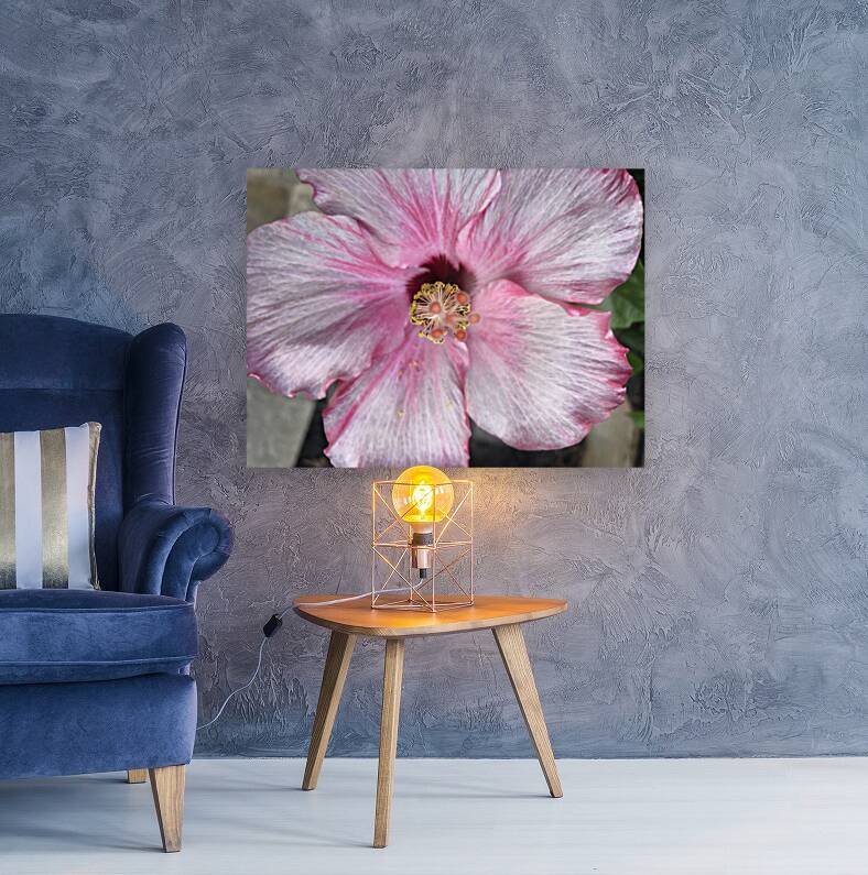 Hibiscus Reproduction