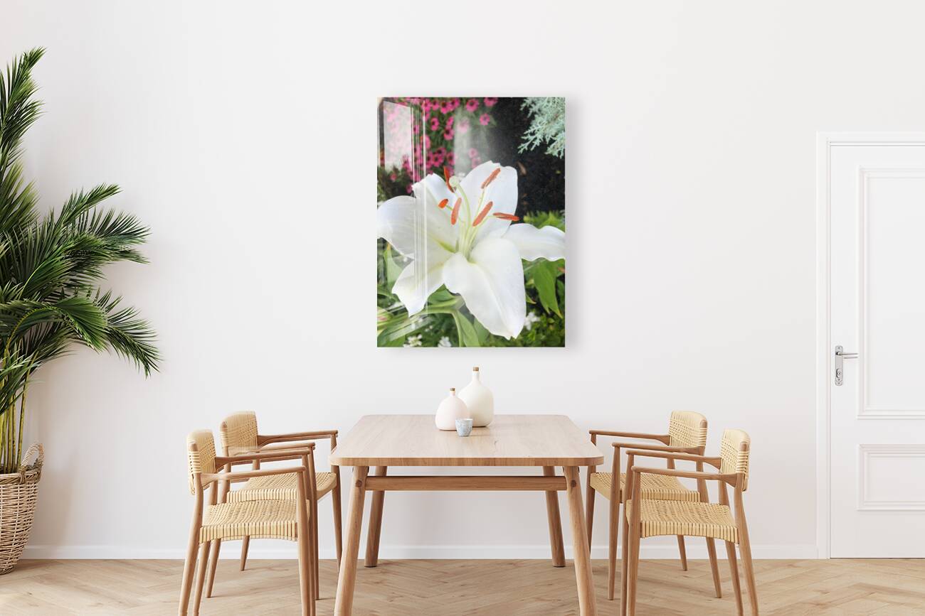 White Lily  Reproduction