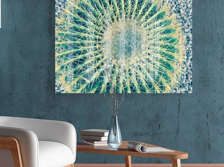 Golden Barrel Cactus by WRR