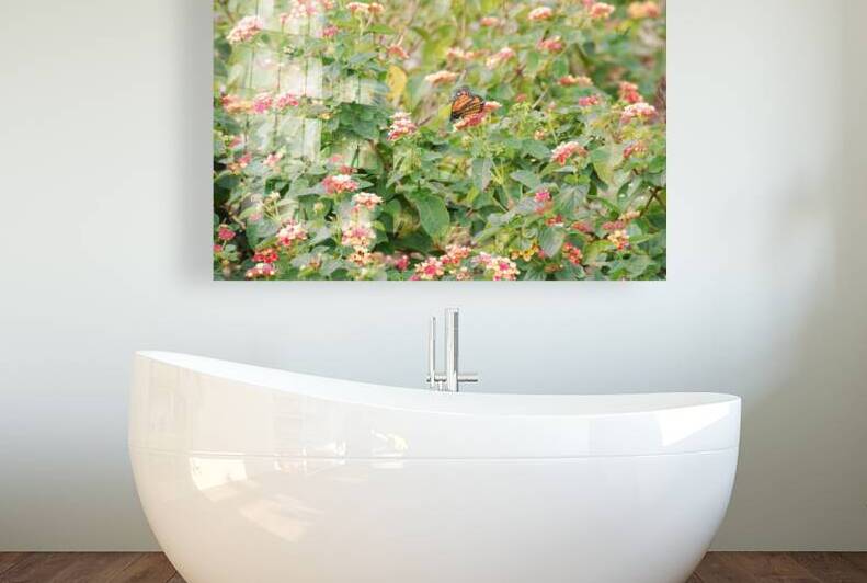 Monarch Butterfly & Lantanas by WRR