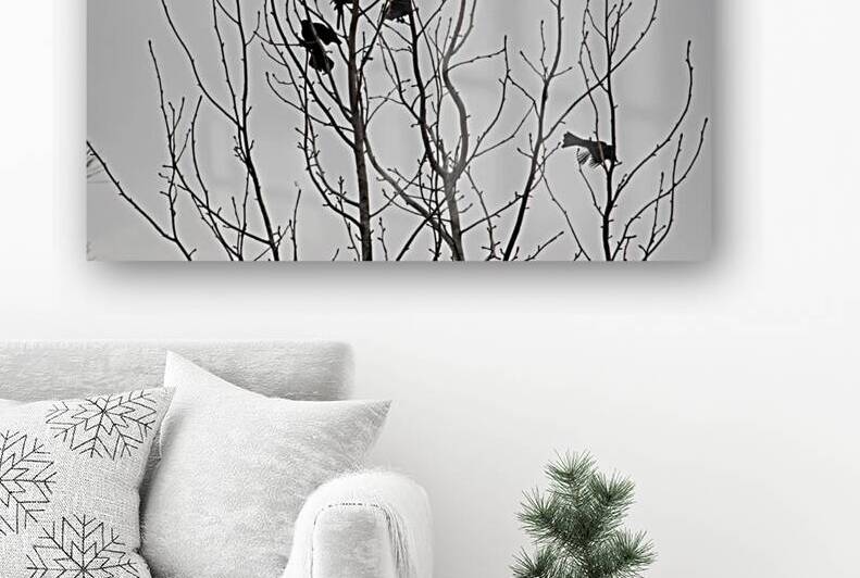Silhouette Birds in a Tree by WRR