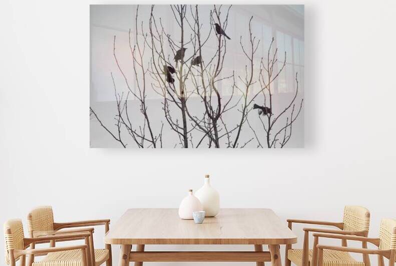 Silhouette Six Birds in a Tree by WRR