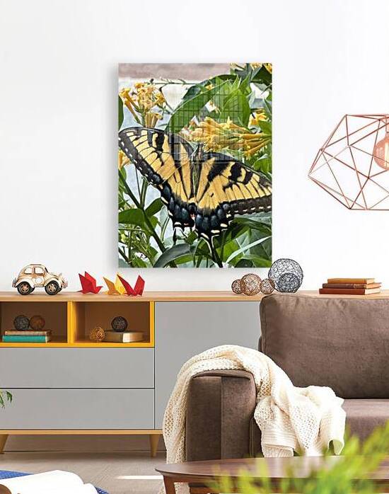 Eastern Tiger Swallowtail  by WRR