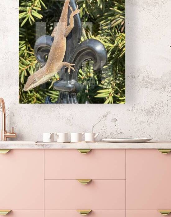 Green Anole Garden Lizard by WRR