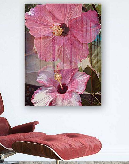 Hibiscus Flower by WRR