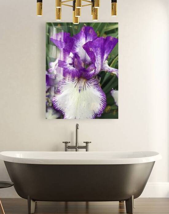 Puple Bearded Iris by WRR