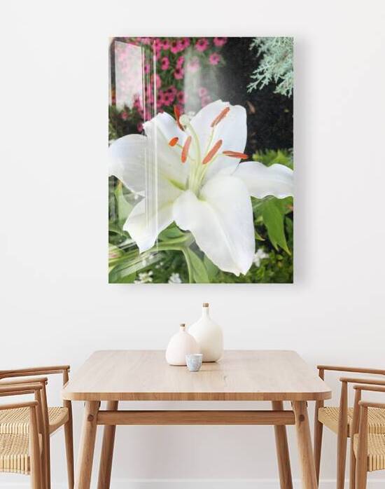 White Lily  by WRR