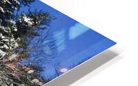 Snow Scape I HD Metal print