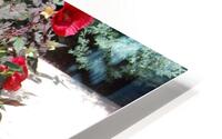 Hibiscus Acetosella HD Metal print