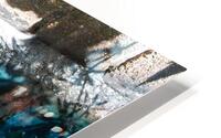 Black Marsh Turtle HD Metal print