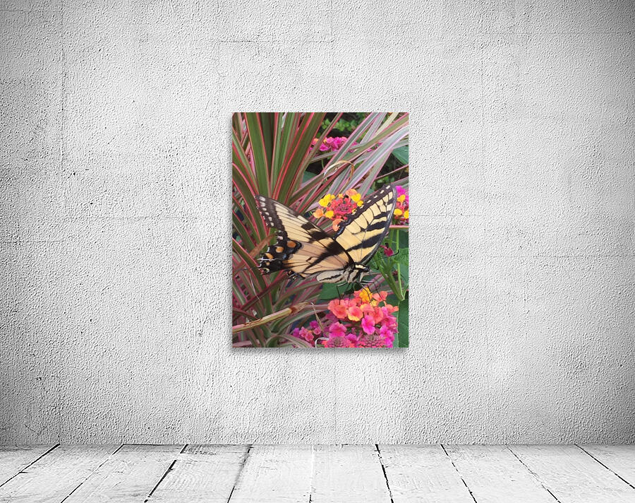 Eastern Tiger Swallowtail Wall Preview