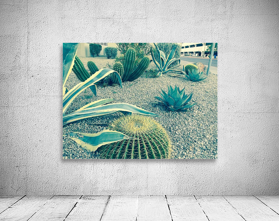 Cactus Party Wall Preview