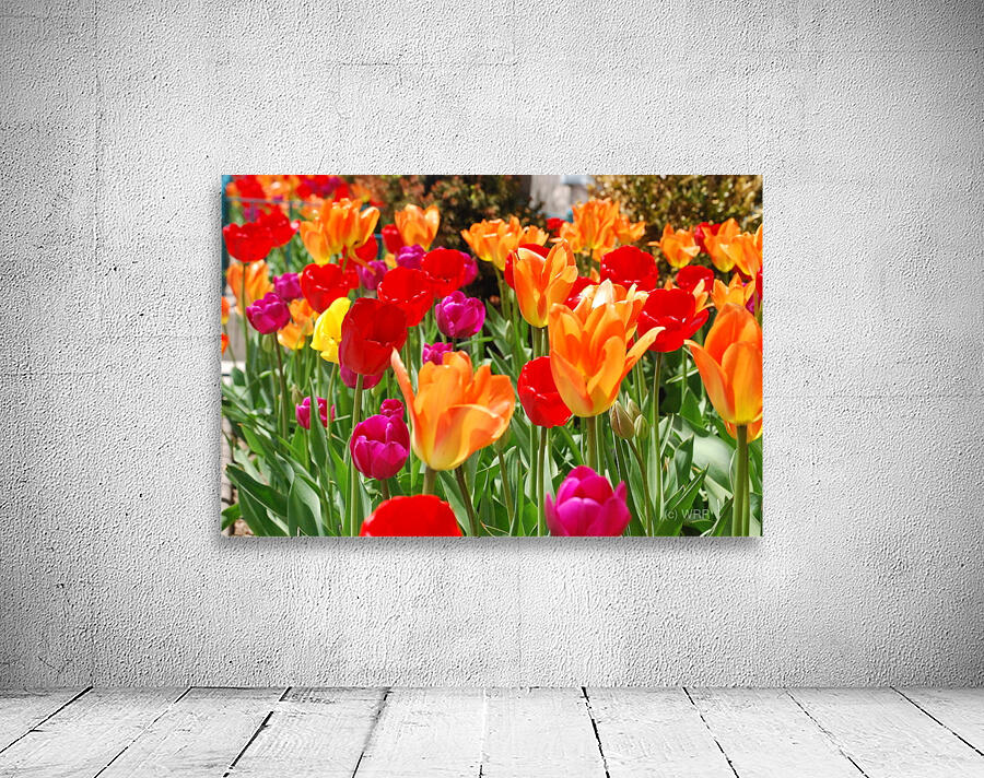 Tulips Wall Preview