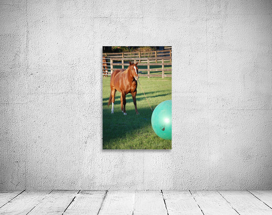 A Horse Wall Preview