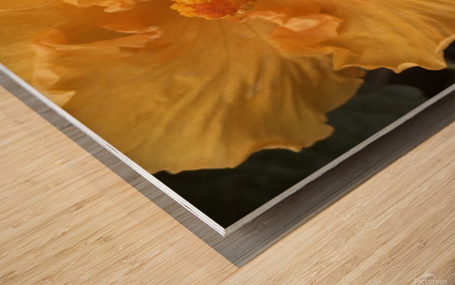 Golden Yellow Hibiscus Wood print