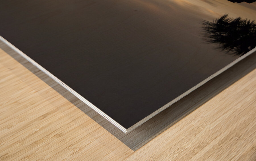 Sky Shadow II Wood print