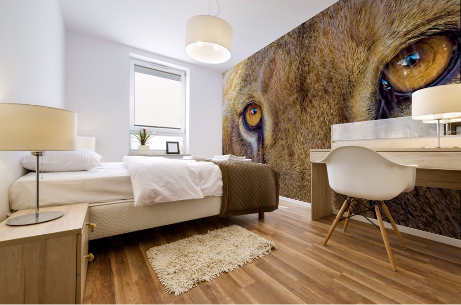 Lioness Stare Mural print