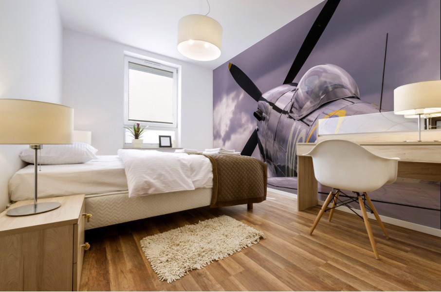 Spitfire Mural print